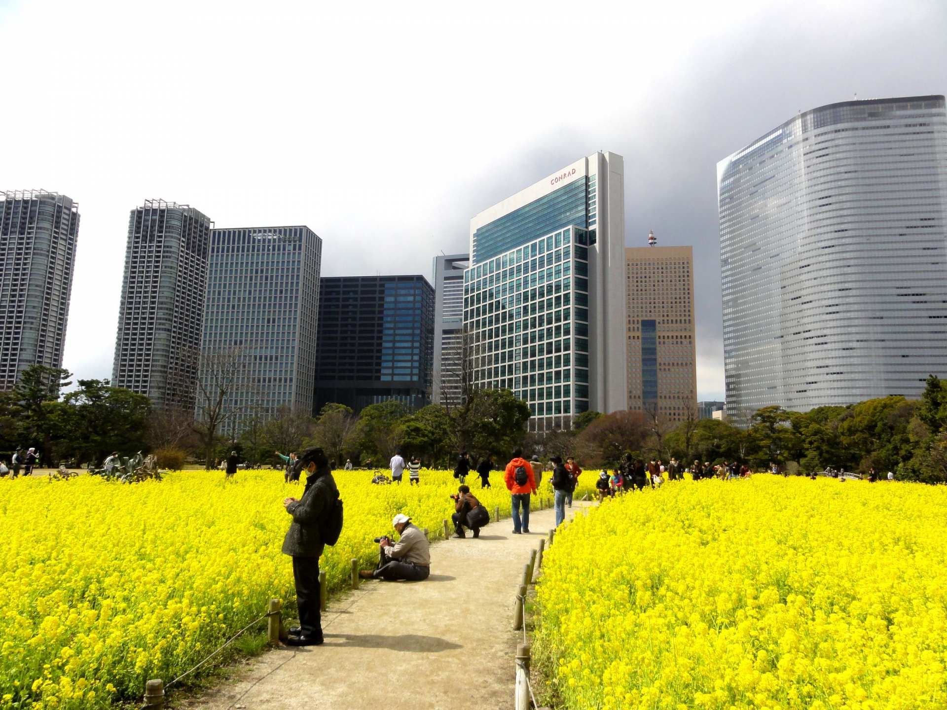 🌳 하마리큐 은사 정원(하마리큐 온시 테이엔) 이미지 7